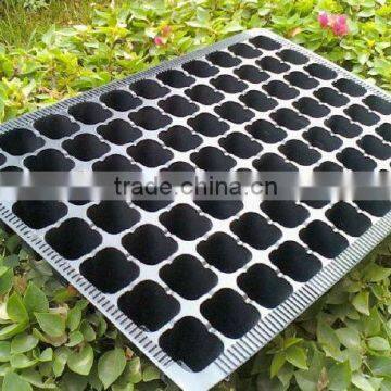 seedling tray