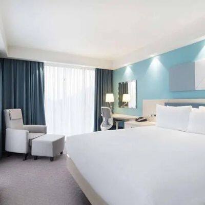 Customizable Factory Wholesale Multifunction Storage Bed With Massage Music Design of Leather Bed Solid Wood Frame Tatami photo-3