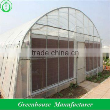 single span plastic cover design greenhouse                        
                                                Quality Choice