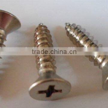 High Quality DIN7982 Countersunk Head Self Tapping Screw