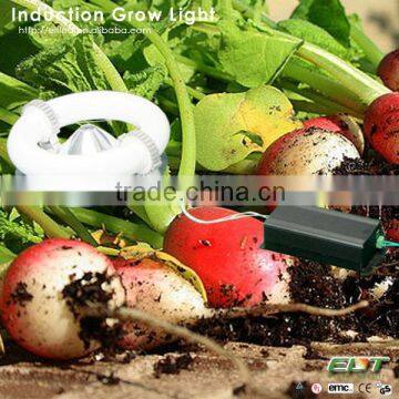 induction lamps item type and led battery powered grow lights