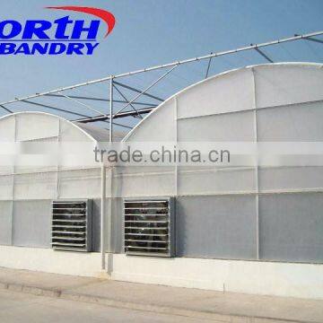 high quality multi span film greenhouse