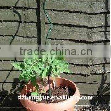 galvznized climbing plant support