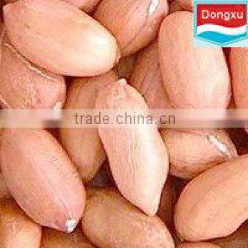 good quality peanut kernels 50/60