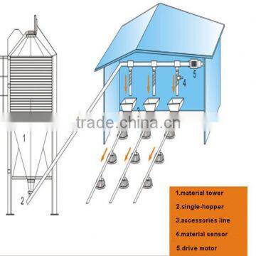 farming house design poultry bird meat chicken broiler flooring or ground feeding and drinking line