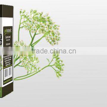 Wild Carrot Seed Oil photo-2