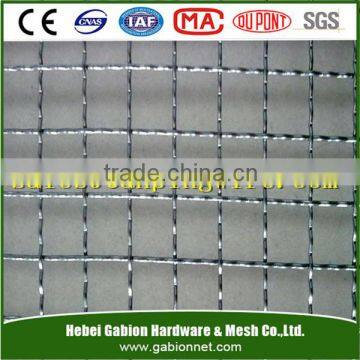 S.S.double crimped mine sieving mesh