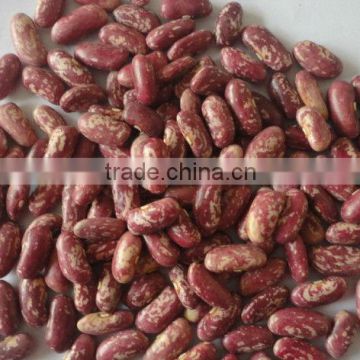 Red Speckled Kidney Beans(top quality)