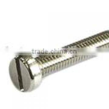 DIN85 Slotted pan head machine screws Stainless steel