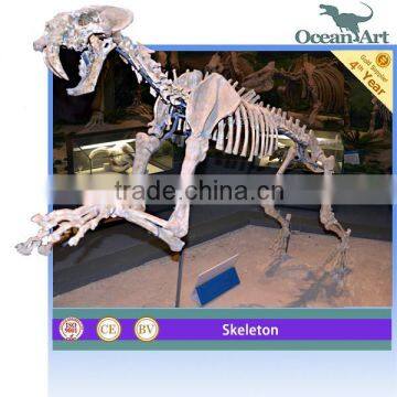 Artificial animal skeleton model for sale