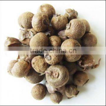 Teak wood Seeds (Tectona grandis) - Teak, Black wood, Siamese Rosewood, Rosewood - Agarharvest