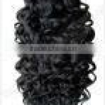 Brazilian Virgin Human Hair