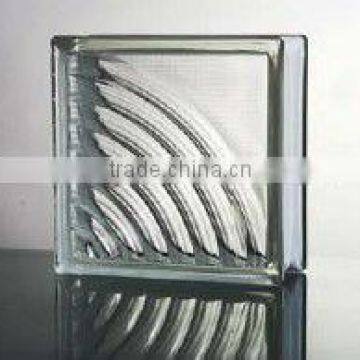 Clear Anunulus glass block