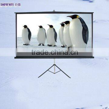 120" matte white fabric portable tripod projection screen in business presentation