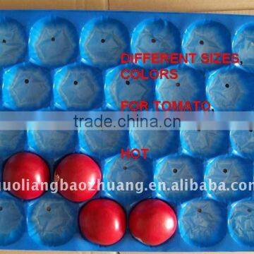 China Manufacturer Dry Packing Fruit Tray