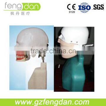 Good quality senior type I dental manikin for simulation