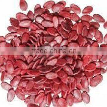 Supply Melon Seeds , Good Quality Red Watermelon Seeds Kernels for Sale