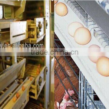 chicken house with egg collecting system poultry farming equipment