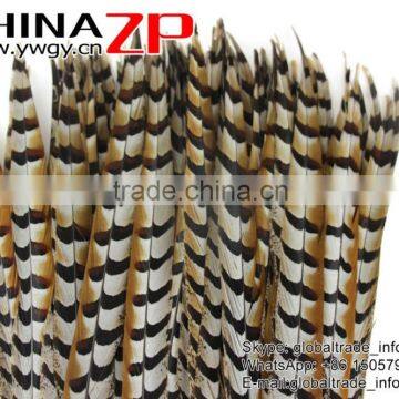 No.1 Manufactor ZPDECOR Best Selling Cheap Long Natural 60-70cm Length Reeves Venery Pheasant Tail Feathers photo-5