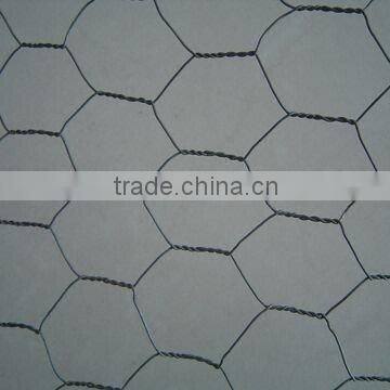 hexagonal mesh