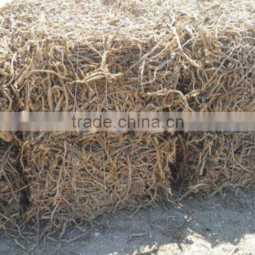 Licorice Root for Medicinal Usage photo-6