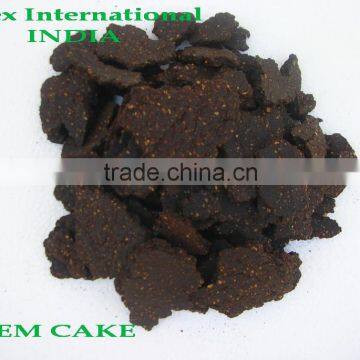 Neem Cake /Azadirachta indica Deoiled cake