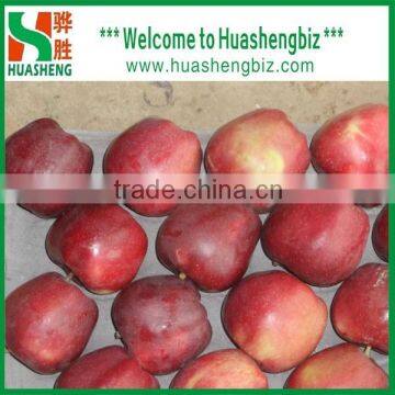 Chinese Red Sweet Tianshui Huaniu apple/apple market price