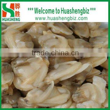 Frozen Boiled Clam Meat for Sale