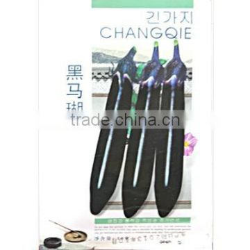 High Quality hybrid Eggplant Seeds For Growing-Black Horse