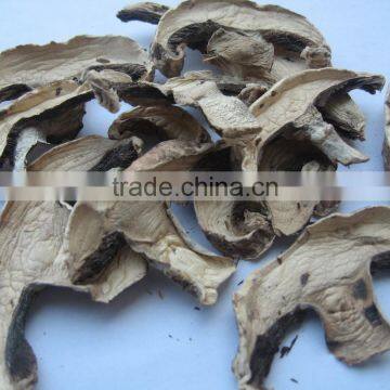 Buy Now Market Prices for Mushroom Products Made in Asia
