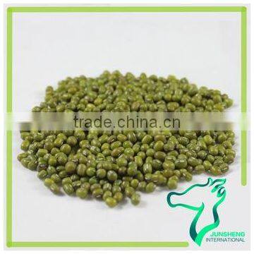 Myanmar Dried Mung Bean Best Selling photo-6