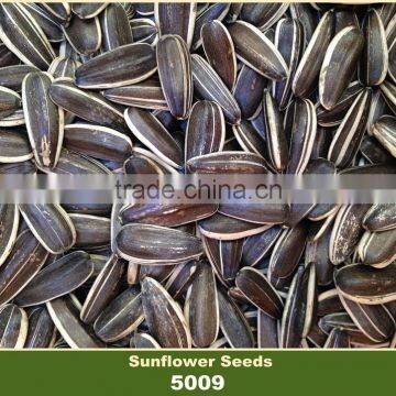 Bulk Chinese Confectionery Sunflower Seeds