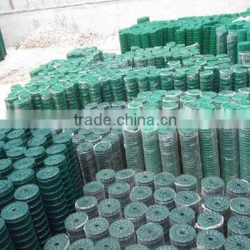 Green Pvc Coated Welded Holland Wire Mesh photo-3