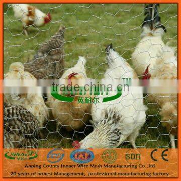 Chicken Wire Mesh for Free Range Chickens