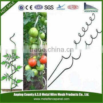 High quality galvanized and plastic coated tomato spiral wire