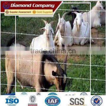 sheep and cattle farming fence