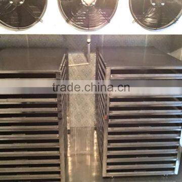 JK-FD-1N Best Seller Vacuum Freeze-drying Machine With Best Price photo-2