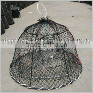 fisher traps/crab traps