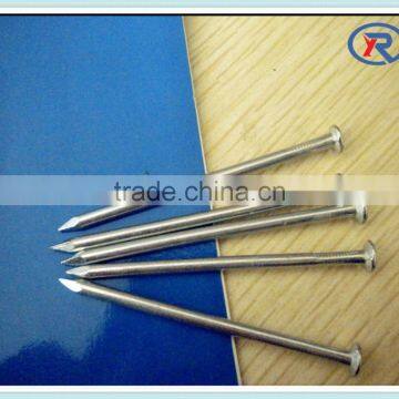 common wire/iron nail for wood