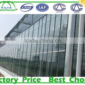 Venlo Type Glass Greenhouse for Cold Area photo-4
