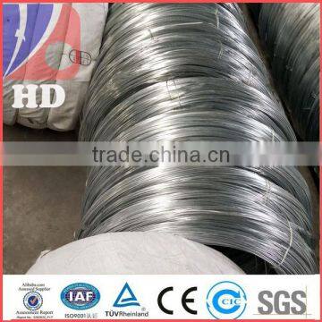 Electro Galvanized iron wire / hot dipped galvanized wire