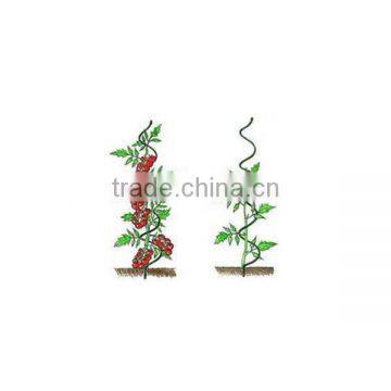 galvanized tomato growing spiral