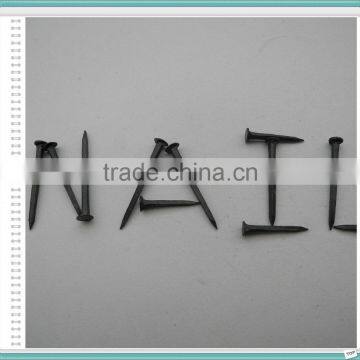 Black Shoe Tack Nail From China Manufacture photo-3