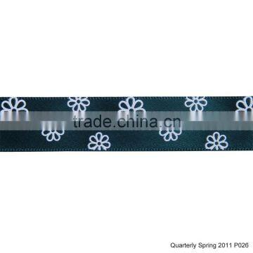 Colorful Webbing