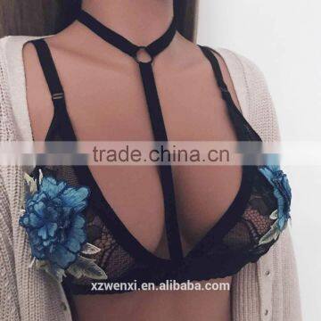 Wholesale Factory Price Sexy Transparent Lace Bra open sex photo embroidery bralette bra crop top lingerie