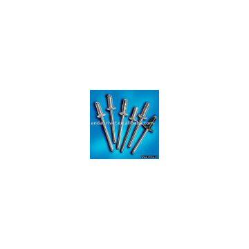Blind Rivet/Open Type Rivet/Steel Rivet