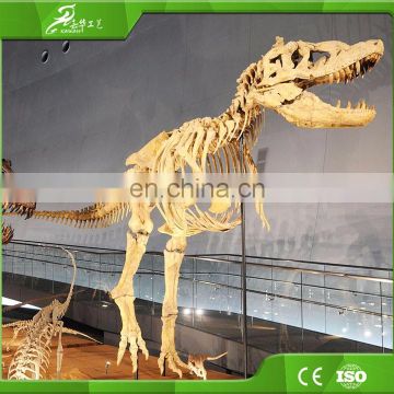 China KAWAH factory best price large lifesize realistic dinosaur fossils for exhibition