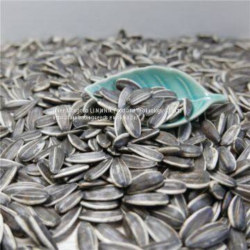 Sunflower Seeds from Chinese Inner Mongolia Manufacturer