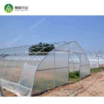 Hot Sale Commercial Polycarbonale Small Single Span Greenhouse photo-5