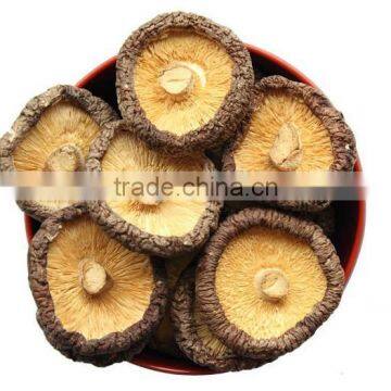 sell dried shiitake mushrooms